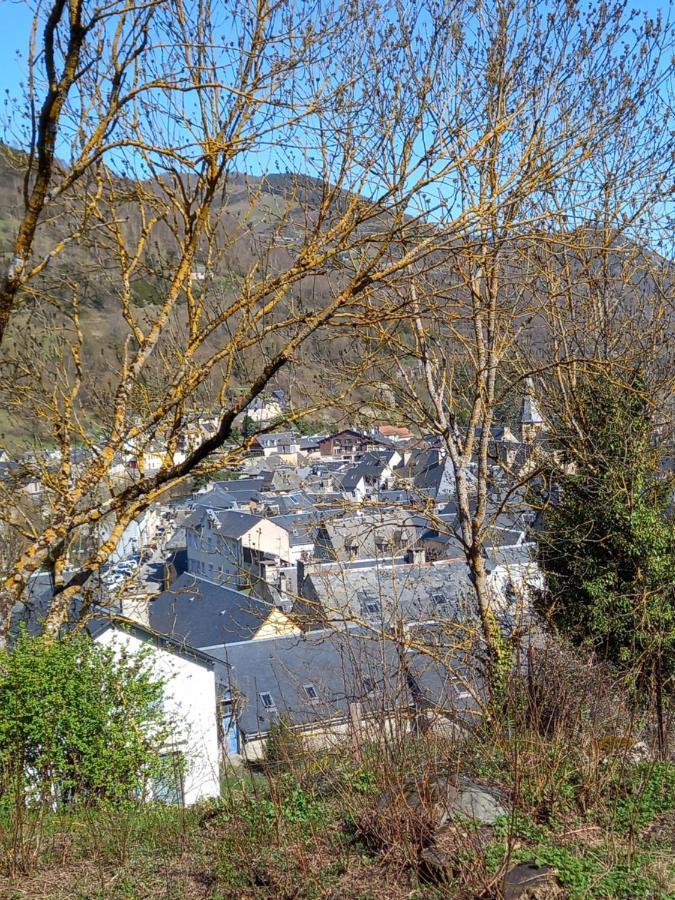 Appartement 2 A 4 Personnes Le Pyreneen A Arreau Carrefour Des Activites De Montagne Exterior foto